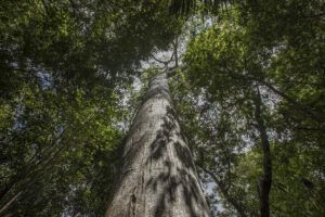 Ejido Noh Bec-Quintana Roo