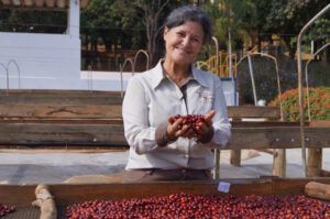 cafeicultora brasileira